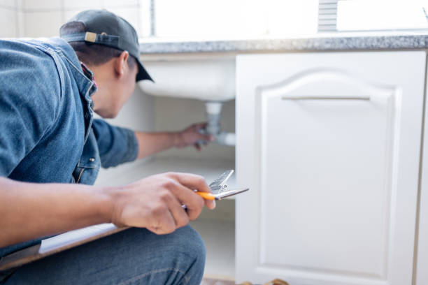 Best Local Plumber Services  in Maple Lake, MN